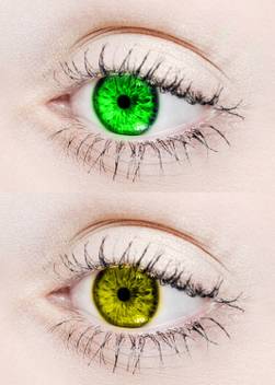 Eycog 2 Pair Green Hazel Monthly Colored 0 Power Contact Lenses
