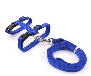 leash company