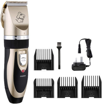 cat litter hidden furniture