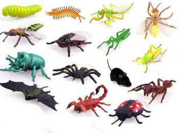 insect toy set