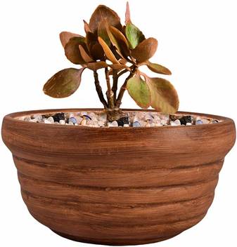 Lasaki Handmade Wooden Paint Ceramic Bowl Shape Pot Best use for Ceramic  Indoor Plants, Pot, Flower pots, Gamla for Indoor or Outdoor, and Succulent Pot  Plant Container Set Price in India -