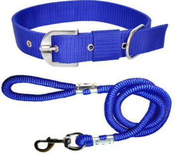 Dog belt in flipkart clearance