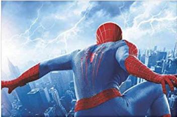 Mad Masters Spiderman Canvas Painting Framed With Uv Print 19 X