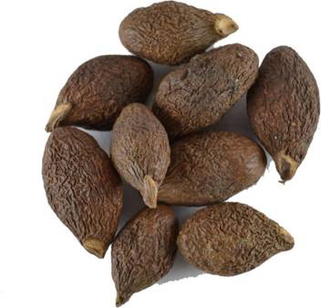 vinarghya niranjan phal fal malva nut china phal umasmangu sterculia lichnophora seed