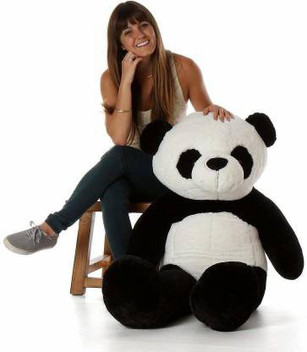 flipkart panda teddy