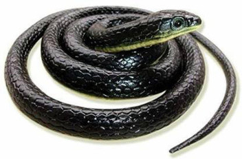 rubber snake price