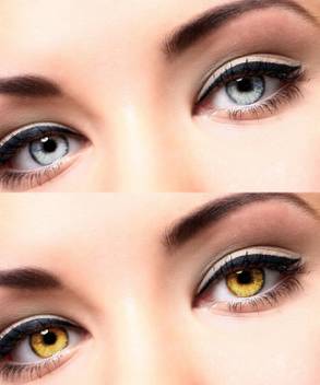 Eycog Grey Hazel 2 Pair Colored Monthly Contact Lens For Eyes
