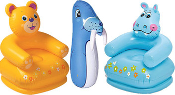 teddy dolphin