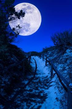 A Beautiful Moon At Night Quotes Premium Poster For Love Ones Romantic Posters No Need Tape Size 12x18 Inch Paper Print Decorative Posters In India Buy Art Film Design Movie Music Nature And