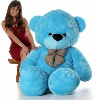 most beautiful teddy bear