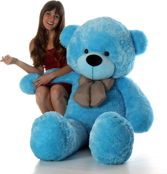 blue teddys