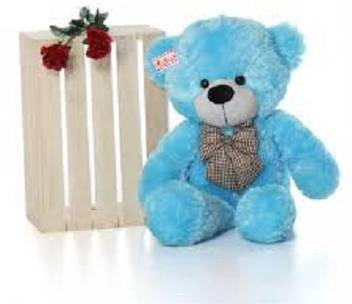 Teddy Hub 2 Feet Hug Gable Spongy Sky Blue 60 Cm 60 Cm 2 Feet Hug Gable Spongy Sky Blue 60 Cm Buy Teddy Bear Toys In India Shop For Teddy Teddy Hub 2 Feet Hug Gable Spongy Sky Blue 60 Cm 60 Cm 2 Feet Hug Gable Spongy Sky Blue 60 Cm Buy Teddy Bear Toys In India Shop For Teddy