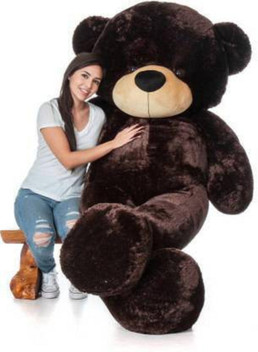 teddy 5 feet height