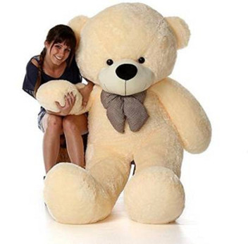 teddy 5 feet height