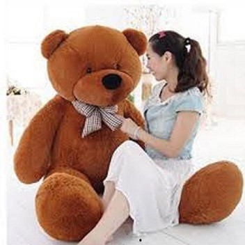 cute teddy bear with chocolate