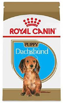Royal Canin Royal Canin Breed Health Nutrition Dachshund Puppy Dry Dog Food 0 13 Kg Dry Young Dog Food Price In India Buy Royal Canin Royal Canin Breed Health Nutrition Dachshund Puppy