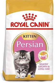 Royal Canin Breed Health Nutrition Persian Kitten Dry Cat Food 1 36 Kg Dry Young Cat Food Price In India Buy Royal Canin Breed Health Nutrition Persian Kitten Dry Cat Food 1 36