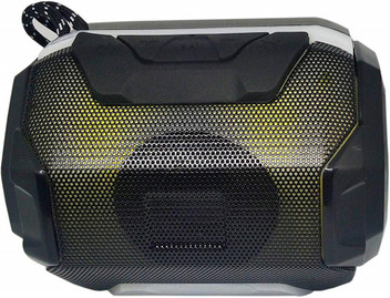 amplifier for speakers flipkart
