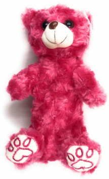 teddy bear pencil box