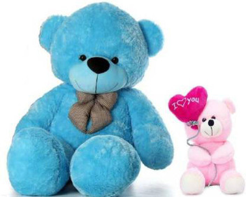 teddy bear combo offer