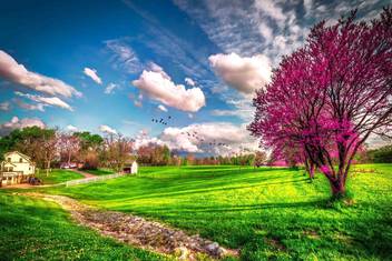Ature Scenery Poster For Decoration Decorative Poster High Resolution 300 Gsm Glossy Matte Art Paper Print Nature Posters In India Buy Art Film Design Movie Music Nature And Educational Paintings Wallpapers At Flipkart Com