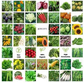 Joycity 45 Varieties Vegetable Seeds Combo 2400 Seeds Kitchen Garden Kit Seed Price In India Buy Joycity 45 Varieties Vegetable Seeds Combo 2400 Seeds Kitchen Garden Kit Seed Online At Flipkart Com