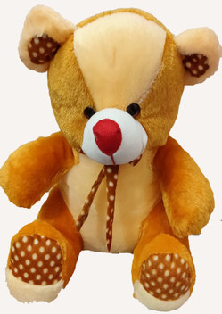 beauty teddy bear