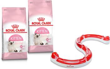 Royal Canin Kitten With Cat Toy Circuit 4 Kg 2x2 Kg Dry Young Cat Food Price In India Buy Royal Canin Kitten With Cat Toy Circuit 4 Kg 2x2 Kg Dry