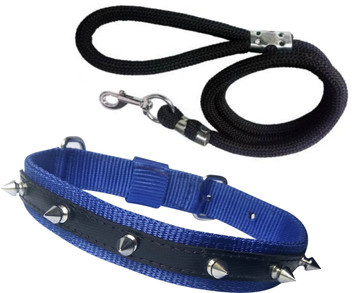 dog belt flipkart