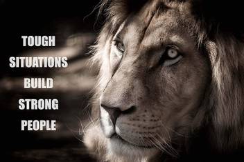 Motivational Quotes Lion Posters For Room Office Home Hall Wall Sticker Paper Print Quotes Motivation Posters In India Buy Art Film Design Movie Music Nature And Educational Paintings Wallpapers At