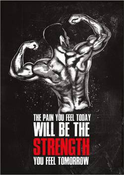Gym Motivational Wall Posters For Students Study Inspirational Quotes For Office And Home 3d Poster Quotes Motivation Posters In India Buy Art Film Design Movie Music Nature And Educational