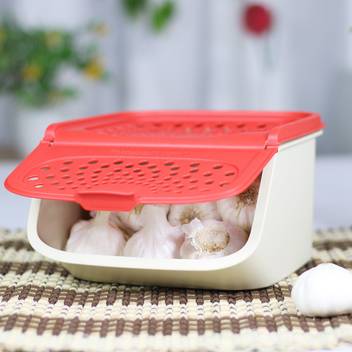 Tupperware Baby Potatoes Madras Onions Garlic Container Mini Access Mate 1pc 2300 Ml Plastic Utility Container Price In India Buy Tupperware Baby Potatoes Madras Onions Garlic Container Mini Access Mate