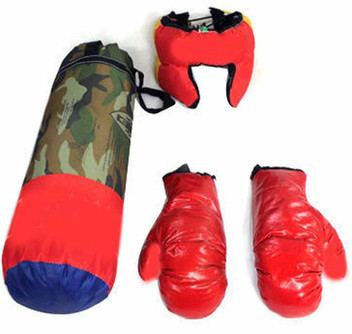 aurionpro boxing kit
