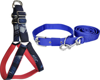 collar harness combo