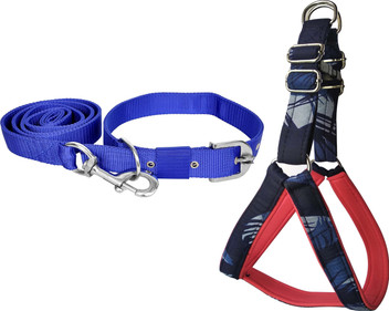 dog belt flipkart