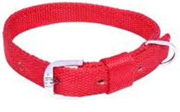 puppy collar leash