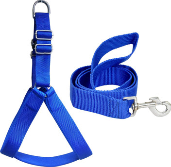 Dog belt price in flipkart