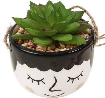Chumbak Cultivated Calm Planter Ivory Artificial Plant With Pot Price In India Buy Chumbak Cultivated Calm Planter Ivory Artificial Plant With Pot Online At Flipkart Com This artificial plant comes in two sizes and looks fresh all year round. chumbak