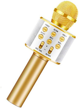 karaoke music system flipkart