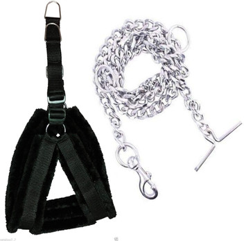dog chain flipkart