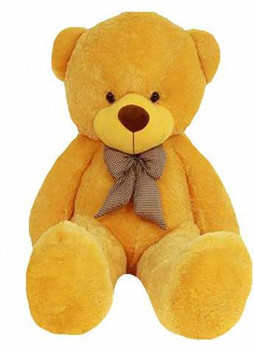 kids teddy