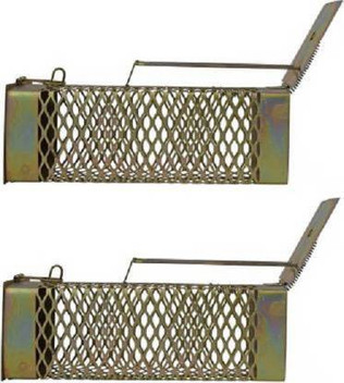 mouse trap online