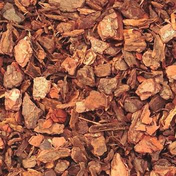 Kolkata Orchid Online Pine Bark Chips 250grms For Orchid Potting Soil Orchid Media Orchid Manure Natural Orchid Soil Manure Soil Potting Mixture Price In India Buy Kolkata Orchid Online Pine Bark