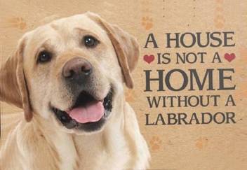 Paedicon Wooden A House Is Not A Home Without A Labrador Dog Plaque Name Plate Name Plate Price In India Buy Paedicon Wooden A House Is Not A Home Without A