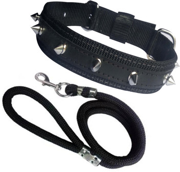 Dog collar flipkart Clearance