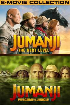 Jumanji Welcome To The Jungle Jumanji The Next Level In Hindi English It S Burn Data Dvd Play Only In Computer Or Laptop It S Not Original Without Poster Hd Print Price