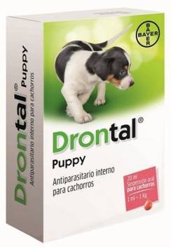 Bayer Drontal Puppy Dewormer 20 Ml Pack Of 2 Pet Dewormer Price In India Buy Bayer Drontal Puppy Dewormer 20 Ml Pack Of 2 Pet Dewormer Online At Flipkart Com