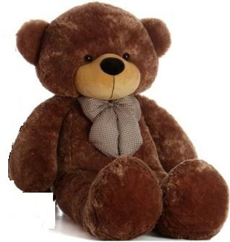 teddy bear 5 fit
