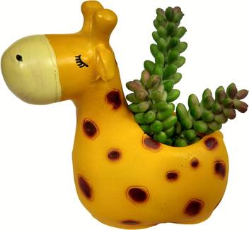 Homesutraa Resin Giraffe Shaped Small Mini Cute Flowers Succulent Cactus Bonsai Indoor Outdoor Decorative Planter Pot Vase With Drainage Lxwxh 12 X 8 X 12 Cm Plant Container Set Price In India Buy Homesutraa Resin Giraffe