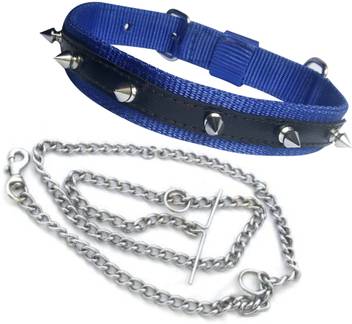 Body Building Nylon Dog Belt Combo Of Blue Dog Spike Collar With Dog Chain Dog Collar Chain Price In India Buy Body Building Nylon Dog Belt Combo Of Blue Dog